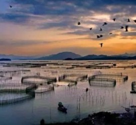 桂平伴游中国网景点丰富(旅游网介绍)
