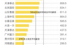 桂平关于伴游小丽中国足球的信息