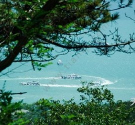 桂平中国伴游网与你分享旅游的点滴(中国伴游网与你分享旅游的点滴是什么)