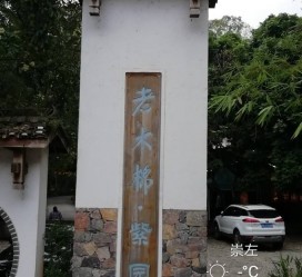 桂平关于伴游中国伴游你们伴得是什么游的信息