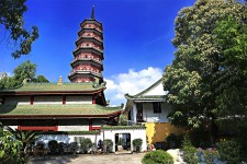 桂平广州自由行(广州 自由行)