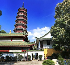桂平广州自由行(广州 自由行)