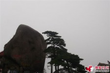 桂平上海伴游私家陪游雇用女模(上海伴游私家陪游雇用女模特)
