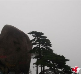 桂平上海伴游私家陪游雇用女模(上海伴游私家陪游雇用女模特)