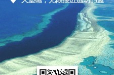 桂平中国250家旅行社结伴游新西兰(新西兰当地旅行社)