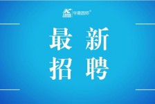 桂平镇江伴游雇用驾驶员(镇江驾驶员雇用苍生网)