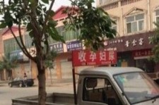 桂平上海伴游 用伴游造句大全(5
