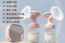 桂平奶模(奶模型)