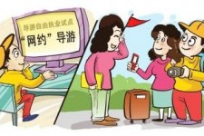 桂平伴游是什么