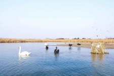 桂平南昌附近伴游小妹兼职(1534939978姐的微信德惠市)