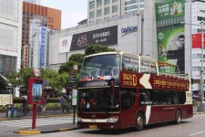 桂平上海私人伴游 上海过年怎么玩？这些“微游”线路了解下→
