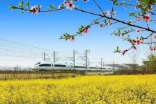 桂平高铁游(高铁游戏下载手机版)