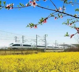 桂平高铁游(高铁游戏下载手机版)