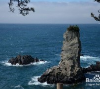 桂平旅游全攻略(上海旅游全攻略)