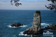 桂平旅游全攻略(上海旅游全攻略)