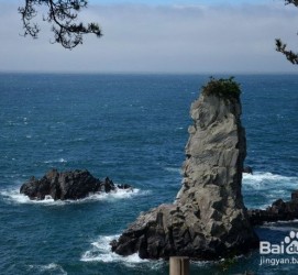 桂平旅游全攻略(上海旅游全攻略)