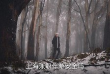 桂平上海私人伴游 上海伴游，上海兼职伴游安全吗