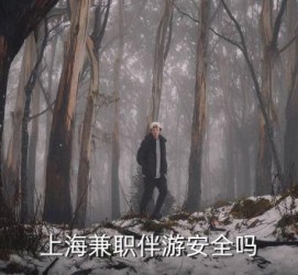 桂平上海私人伴游 上海伴游，上海兼职伴游安全吗