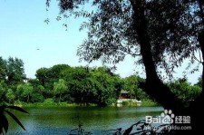桂平西湖旅游攻略(上海到杭州西湖旅游攻略)