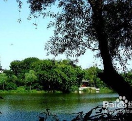 桂平西湖旅游攻略(上海到杭州西湖旅游攻略)