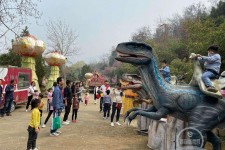 桂平中国伴游带你打卡网红南山竹海(南山竹海网上预约)
