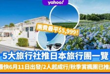 桂平旅游价格(旅游价格机制)