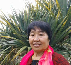 桂平白叟带老伴游半个中国(白叟外出旅游)