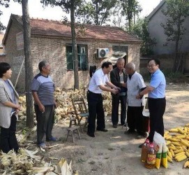 桂平关于宋叔带老伴游中国的信息