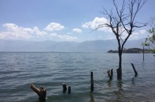 桂平洱海旅游攻略(洱海旅游攻略自由行)