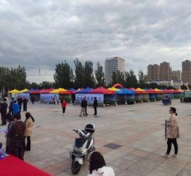 桂平通辽伴游雇用(哈尔滨伴游雇用)