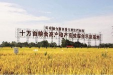 桂平关于成都商务伴游外围雇用的信息
