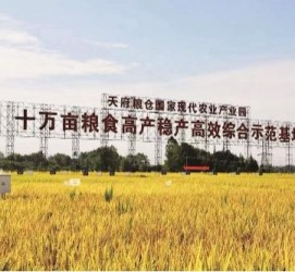 桂平关于成都商务伴游外围雇用的信息