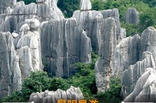 桂平贵阳市游览社英语伴游雇用(贵阳市前十名游览社是哪几家)