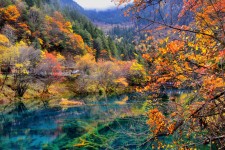 桂平四川旅游攻略(四川旅游攻略十五日游)