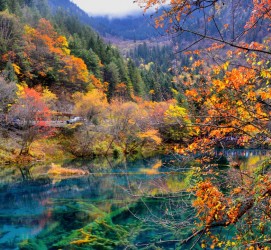 桂平四川旅游攻略(四川旅游攻略十五日游)