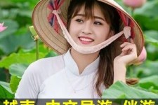 桂平日本关东伴游中国(日本关西旅行)