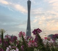 桂平广州旅游攻略(杭州到广州旅游攻略)