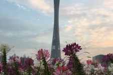 桂平广州旅游攻略(杭州到广州旅游攻略)
