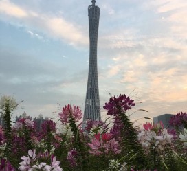 桂平广州旅游攻略(杭州到广州旅游攻略)
