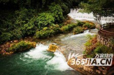 桂平去哪里旅游好(七月八月去哪里旅游好)