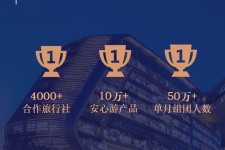 桂平上海私人伴游 ​ “小而美”的新时代：2020年国内新跟团消费报告
