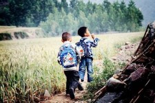 桂平河南一家四口结伴游中国2个月(河南适合一家四口旅游的地方)