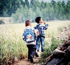 桂平河南一家四口结伴游中国2个月(河南适合一家四口旅游的地方)