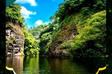 桂平旅游报价(旅行团旅游报价)