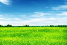 桂平上海伴游 上海模特伴游微信号的交友宣言