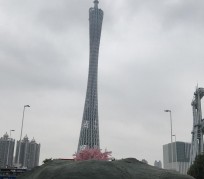 桂平广州游玩攻略(广州游玩攻略景点大全免费)