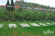 桂平昆明旅游攻略(昆明旅游攻略景点大全抚仙湖)
