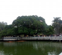 桂平福州旅游攻略(福州旅游攻略二日游)