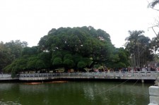 桂平福州旅游攻略(福州旅游攻略二日游)