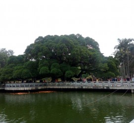桂平福州旅游攻略(福州旅游攻略二日游)